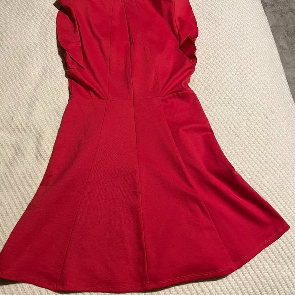 BCBG Ruffle Sleeve Dress - Picture 4 of 4